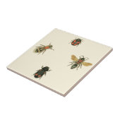 Fliegen und Käfer von Vision Studio Fliese (Seite)