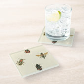 Fliegen und Käfer von Vision Studio Glasuntersetzer (Schrägansicht)