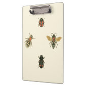 Fliegen und Käfer von Vision Studio Klemmbrett (Links)