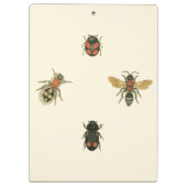 Fliegen und Käfer von Vision Studio Klemmbrett (Rückseite)