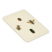 Fliegen und Käfer von Vision Studio Magnet (Rechte Seite)