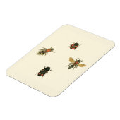 Fliegen und Käfer von Vision Studio Magnet (Linke Seite)