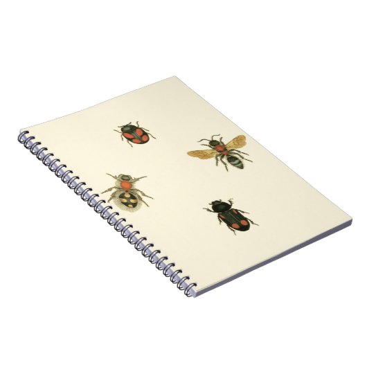 Fliegen und Käfer von Vision Studio Notizblock (Rechte Seite)