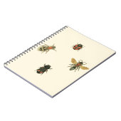 Fliegen und Käfer von Vision Studio Notizblock (Linke Seite)