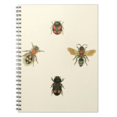 Fliegen und Käfer von Vision Studio Notizblock (Vorderseite)