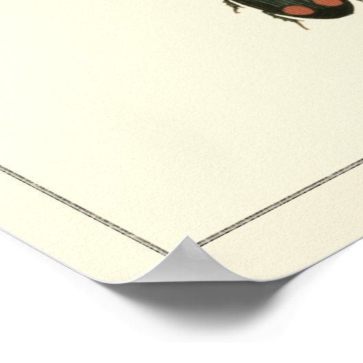 Fliegen und Käfer von Vision Studio Poster (Ecke)