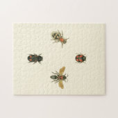 Fliegen und Käfer von Vision Studio Puzzle (Horizontal)