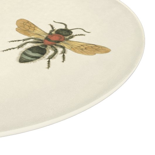 Fliegen und Käfer von Vision Studio Schneidebrett (Ecke)