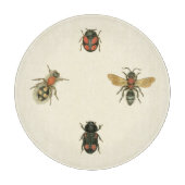 Fliegen und Käfer von Vision Studio Schneidebrett (Vorderseite)