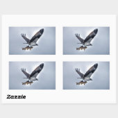 Fliegen von Osprey mit Walleye Fischen HDR-Foto Rechteckiger Aufkleber (Blatt)