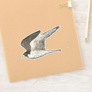 Fliegen-Wanderfalke farbige Bleistift-Kunst Aufkleber