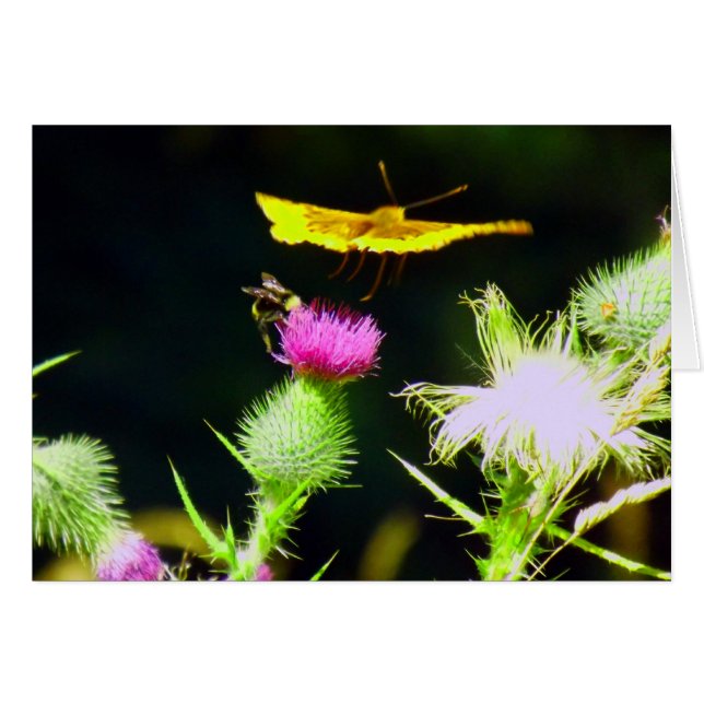 Fliegen weg (Vorderseite (Horizontal))