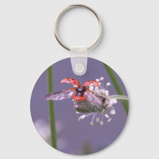 Fliegen weg Zuhause Schlüsselanhänger (Vorderseite)