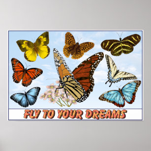 Fliegen zu deinen Träumen Poster