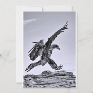 Fliegen zu meinem Party - Einladung