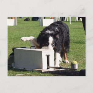 Fliegenball Postkarte