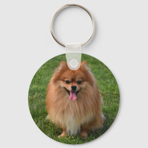 Fliegenbraun-Spitz-Welpenhund Schlüsselanhänger