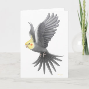 Fliegencockatiel-Karte Karte