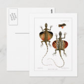Fliegende Echse Postkarte (Vorne/Hinten)