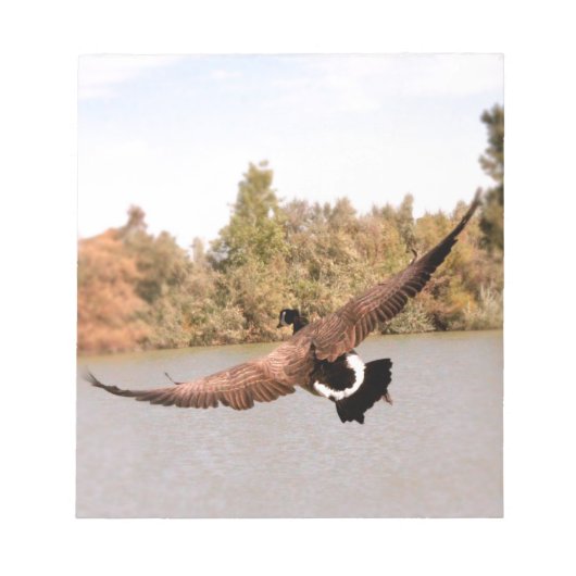 fliegende Ente über Wasser Foto Notizblock (Vorderseite)