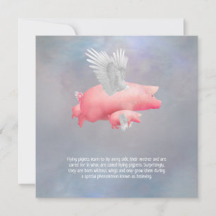 Fliegende Ferkel Karte