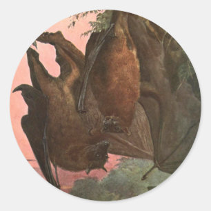 Fliegende Füchse Fledermäuse von Austen, Vintage W Runder Aufkleber