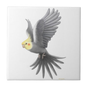 Fliegende graue Cockatiel-Papageien-Fliese Fliese