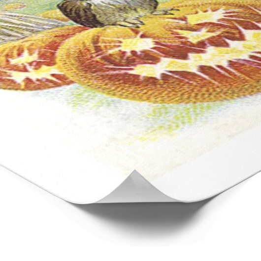 Fliegende Hexe, Fledermäuse, Katze, Eule Poster (Ecke)