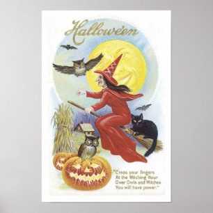 Fliegende Hexe, Fledermäuse, Katze, Eule Poster