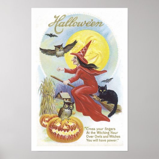 Fliegende Hexe, Fledermäuse, Katze, Eule Poster (Vorne)