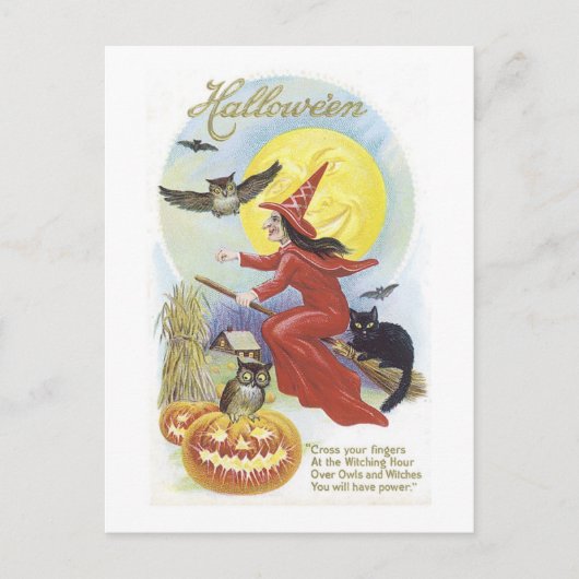 Fliegende Hexe, Fledermäuse, Katze, Eule Postkarte (Vorderseite)