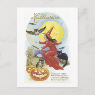 Fliegende Hexe, Fledermäuse, Katze, Eulenmond Postkarte