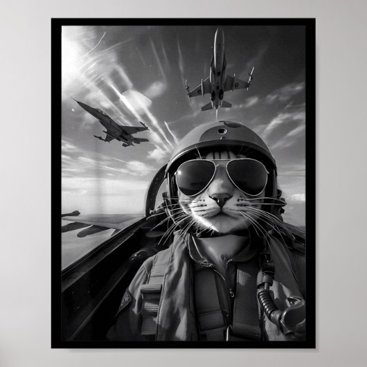 Fliegende Katze Selfie Lustiger Kampfjetpilot Meme Poster (Vorne)