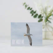 Fliegende Möwe Postkarte (Stehend Vorderseite)