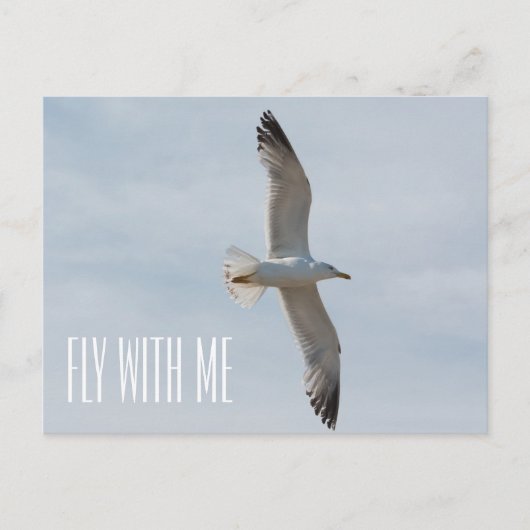 Fliegende Möwe Postkarte (Vorderseite)