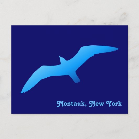Fliegende Möwe Postkarte (Vorderseite)