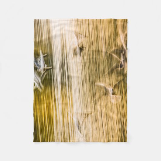 Fliegende Möwen - abstrakt Fleecedecke (Vorderseite)