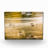 Fliegende Möwen - abstrakt Fotoblock (Vorderseite)