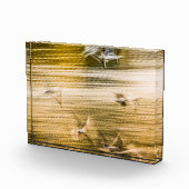 Fliegende Möwen - abstrakt Fotoblock (Rechts)