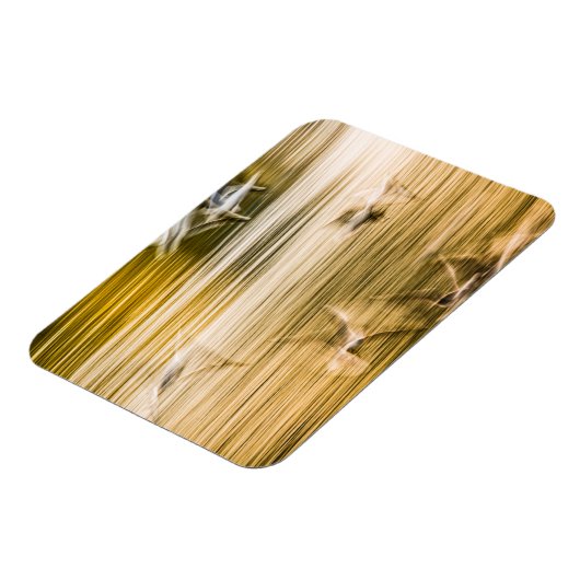 Fliegende Möwen - abstrakt Magnet (Linke Seite)