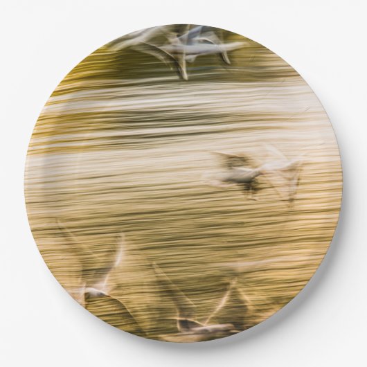 Fliegende Möwen - abstrakt Pappteller (Vorderseite)