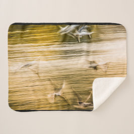 Fliegende Möwen - abstrakt Sherpadecke