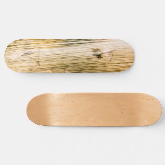 Fliegende Möwen - abstrakt Skateboard (Horizontal)