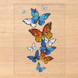 Fliegende Schmetterlinge Morpho und Monarch Acryleinladungen