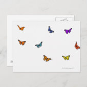 Fliegende Schmetterlinge Postkarte (Vorne/Hinten)