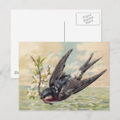 Fliegende Schwalbe mit Blumenast Postkarte (Vorne/Hinten)