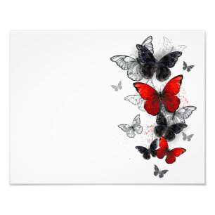 Fliegende schwarze und rote Morpho-Schmetterlinge Fotodruck