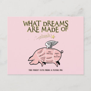 Fliegende Schweine - Weltraume werden gemacht Postkarte