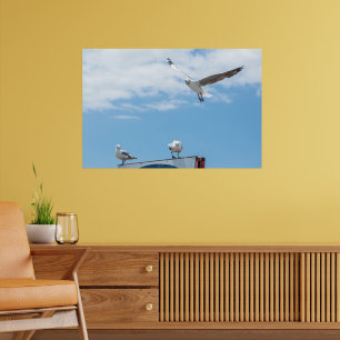 Fliegende Sitzende Möwen Vögel Blauer Himmel Poster