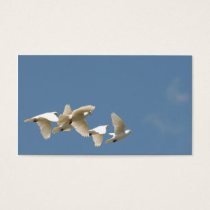 Fliegende weiße Tauben